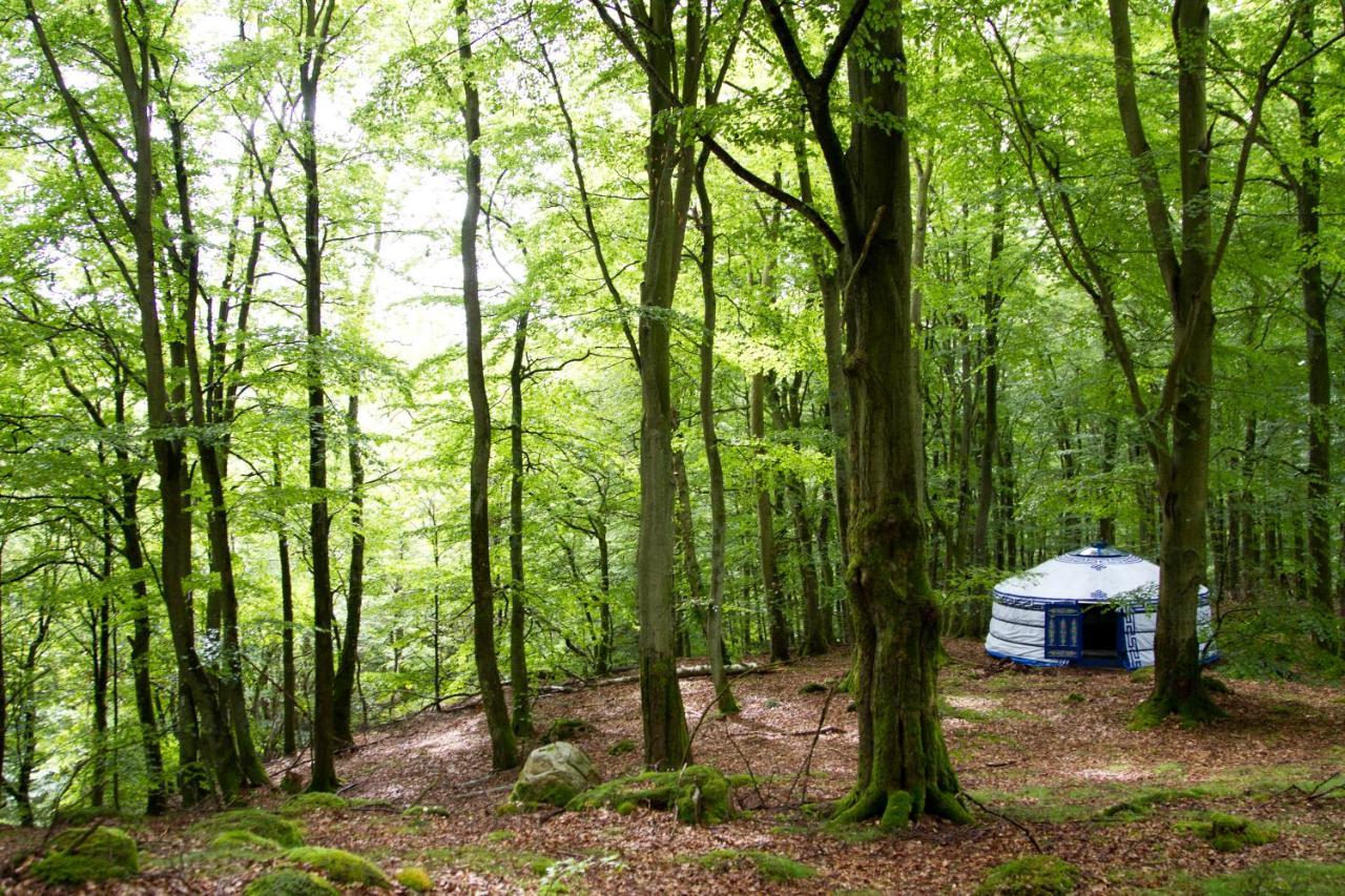 Stf Nyrups Naturhotell Höör Exterior foto
